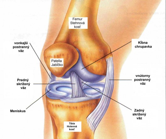 Bolesť kolena a kde vzniká