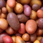 Sladke zemiaky